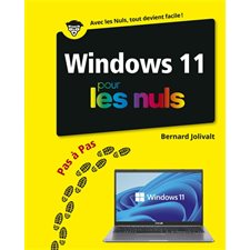 Windows 11 pas à pas pour les nuls : Pas à pas : Couleurs