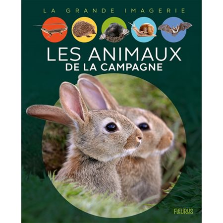 Les animaux de la campagne : La grande imagerie : 3e édition