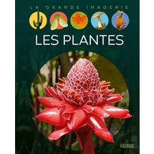 Les plantes : La grande imagerie : 2e édition