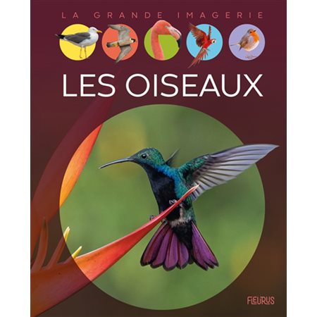 Les oiseaux : La grande imagerie : 3e édition