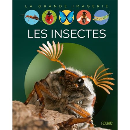 Les insectes : La grande imagerie : 3e édition