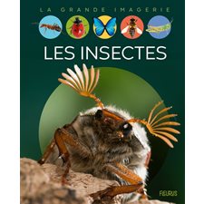 Les insectes : La grande imagerie : 3e édition