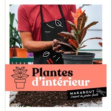 Plantes d'intérieur : L'expert du jardin facile