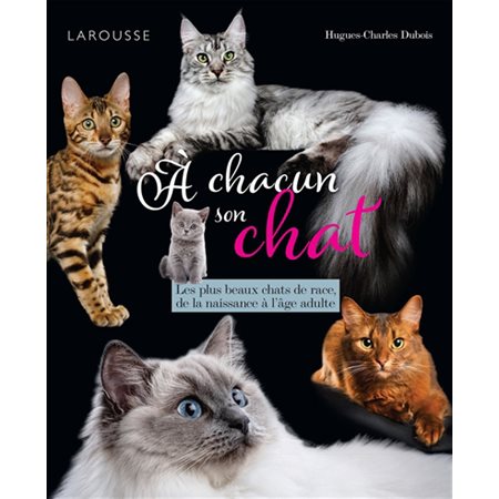 A chacun son chat : Les plus beaux chats de race, de la naissance à l'âge adulte