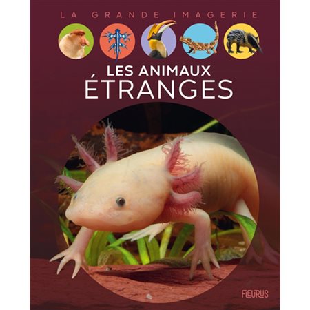 Les animaux étranges : La grande imagerie : 1re édition