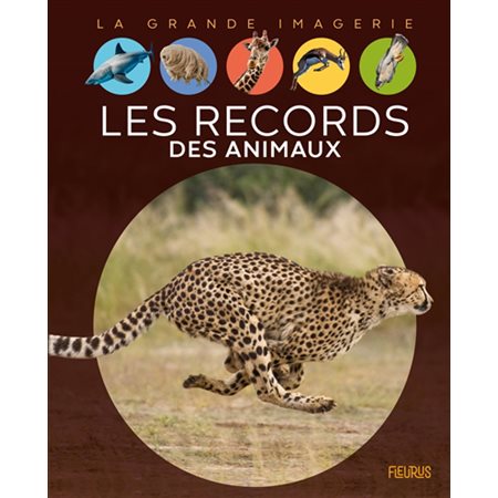 Les records des animaux : La grande imagerie : 1re édition