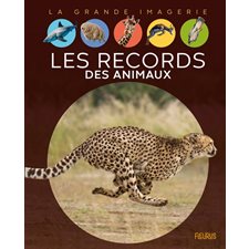 Les records des animaux : La grande imagerie : 1re édition