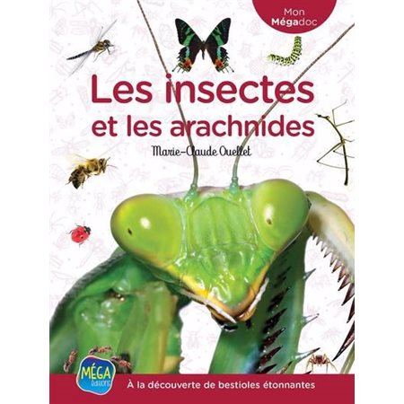 Les insectes et les arachnides : À la découverte de bestioles étonnantes : Mon Mégadoc