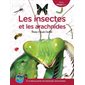 Les insectes et les arachnides : À la découverte de bestioles étonnantes : Mon Mégadoc