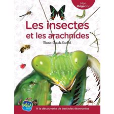 Les insectes et les arachnides : À la découverte de bestioles étonnantes : Mon Mégadoc