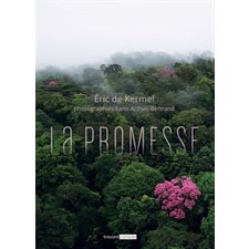 La promesse