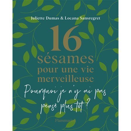 16 sésames pour une vie merveilleuse : Pourquoi je n'y ai pas pensé plus tôt ?