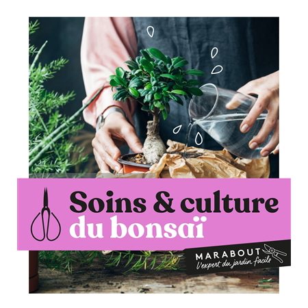 Soins & culture du bonsaï : L'expert du jardin facile