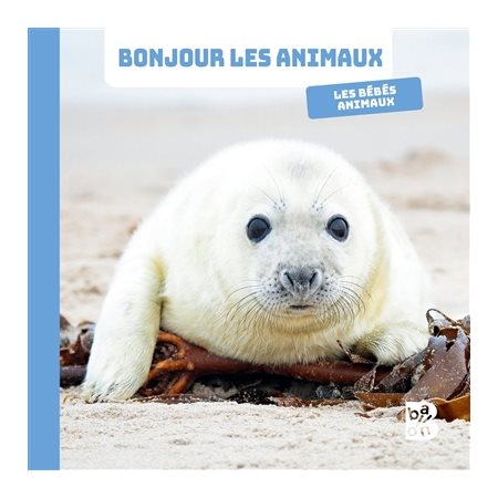 Les bébés animaux : Bonjour les animaux !