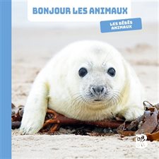 Les bébés animaux : Bonjour les animaux !