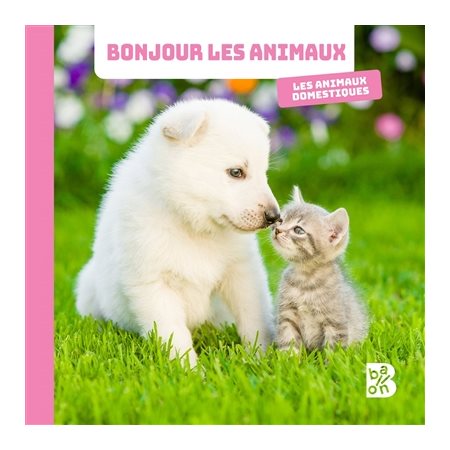 Les animaux domestiques : Bonjour les animaux !