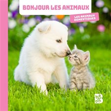 Les animaux domestiques : Bonjour les animaux !