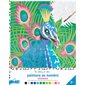 Oiseaux : Peinture au numéro : 7+