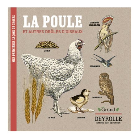 La poule : Et autres drôles d'oiseaux : Green Gründ