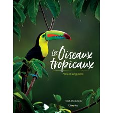 Les oiseaux tropicaux : Vifs et singuliers