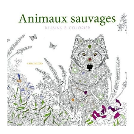 Animaux sauvages : Dessins à colorier