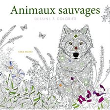 Animaux sauvages : Dessins à colorier