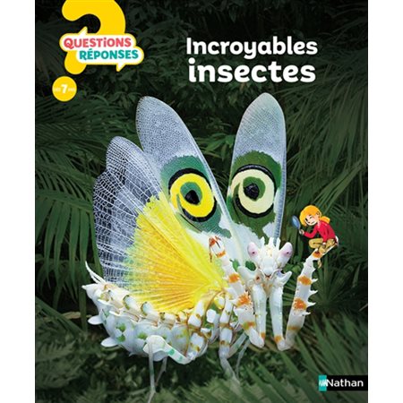 Incroyables insectes : Questions ? Réponses ! 7+