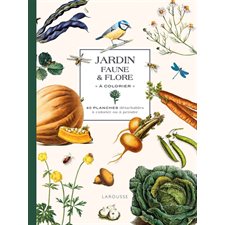 Jardin : Faune & flore à colorier : 40 planches détachables à colorier ou à peindre