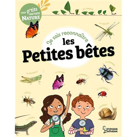 Je sais reconnaître les petites bêtes : Mes p'tits carnets nature : À partir de 7 ans