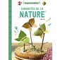 Curiosités de la nature : Le grand atelier