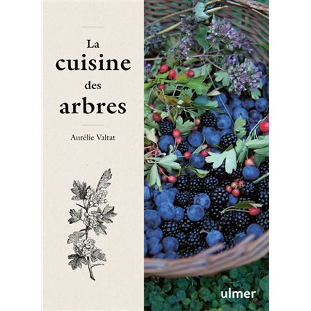 La cuisine des arbres