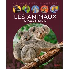 Les animaux d'Australie : La grande imagerie : 2e édition