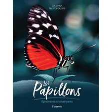 Les papillons : Éphémères et chatoyants