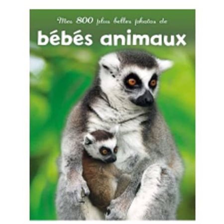 Mes 800 plus belles photos de bébés animaux