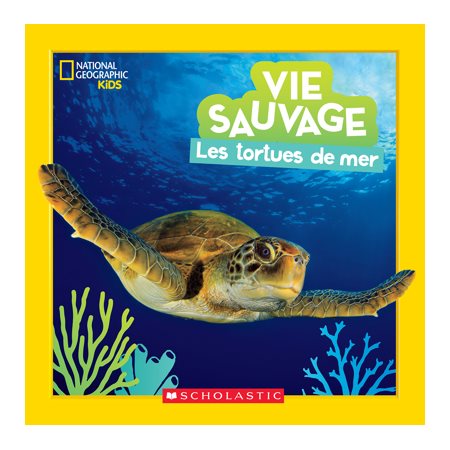 Les tortues de mer : Couverture rigide