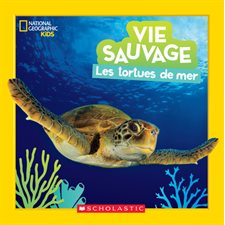 Les tortues de mer : Couverture rigide