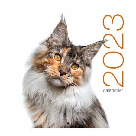 Chats : Calendrier mural 2023