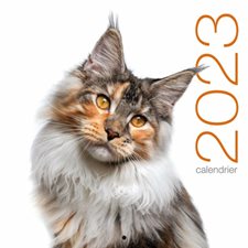 Chats : Calendrier mural 2023