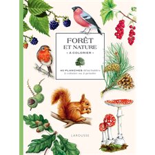 Forêt et nature à colorier : 40 planches détachables à colorier ou à peindre