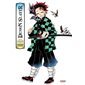 Demon slayer : Recueil d'illustrations au fil du temps