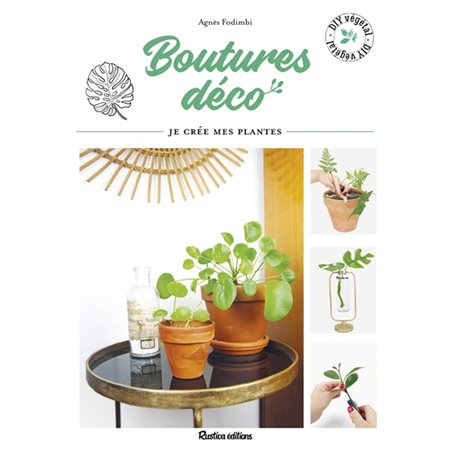 Boutures déco : Je crée mes plantes en pas à pas