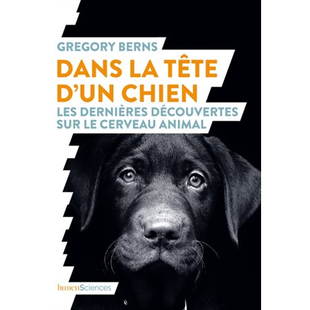 Dans la tête d'un chien : Les dernières découvertes sur le cerveau animal