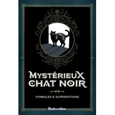 Mystérieux chat noir : Symboles & superstitions