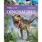 Tout connaître T.04 : Dinosaures : Nouvelle édition