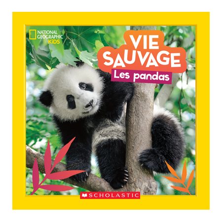 Les pandas : Vie sauvage : National Geographic kids