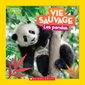 Les pandas : Vie sauvage : National Geographic kids