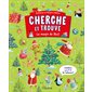 La magie de Noël : Cherche et trouve