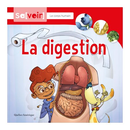 La digestion : Sa[voir] : Le corps humain