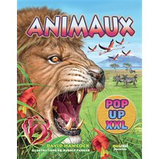 Animaux : XXL pop-up