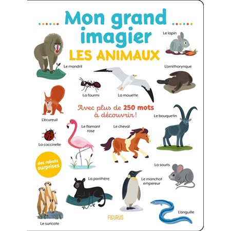 Les animaux : Mon grand imagier